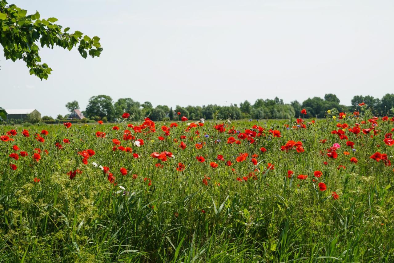 Gastenverblijf Eenigenburg Exterior foto